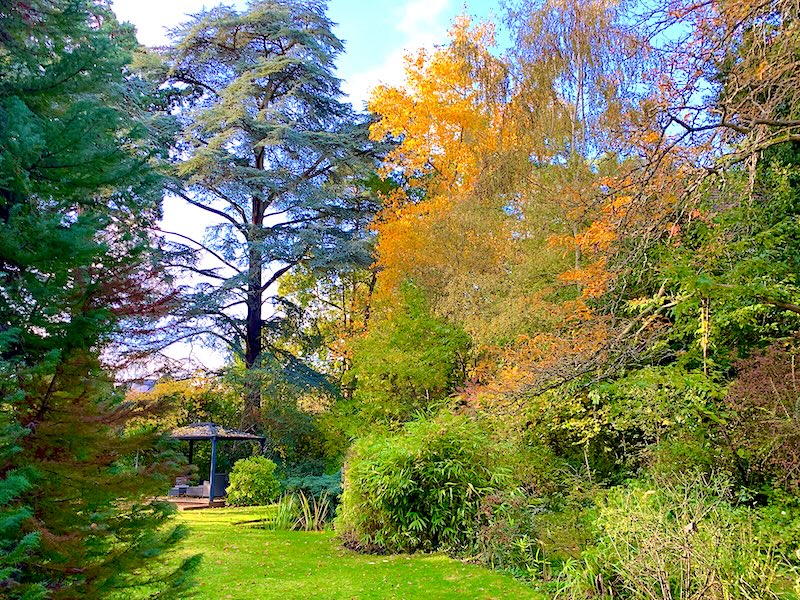 Ruth Brandt Ruth Brandt