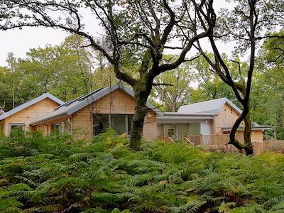 Ruth Brandt is a Prize winning Writer and Creative Writing Tutor in Surrey. She runs Courses and Workshops in Surrey Ruth Brandt