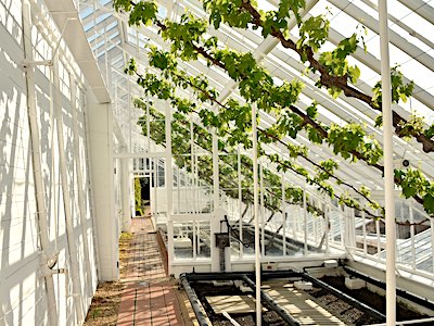 Ruth Brandt Creative Writer and Tutor Ruth Brandt Creative Writer and Tutor