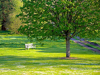 Ruth Brandt Creative Writer and Tutor Ruth Brandt Creative Writer and Tutor