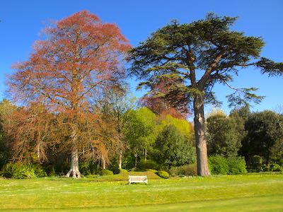 Ruth Brandt Creative Writer and Tutor Ruth Brandt Creative Writer and Tutor