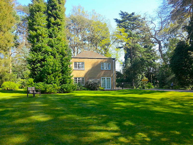 Ruth Brandt Ruth Brandt